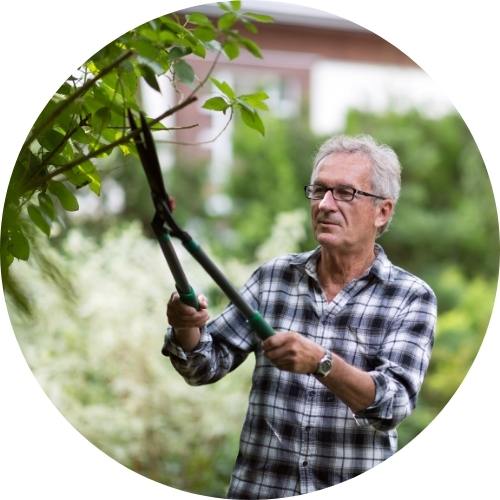 Man Pruning