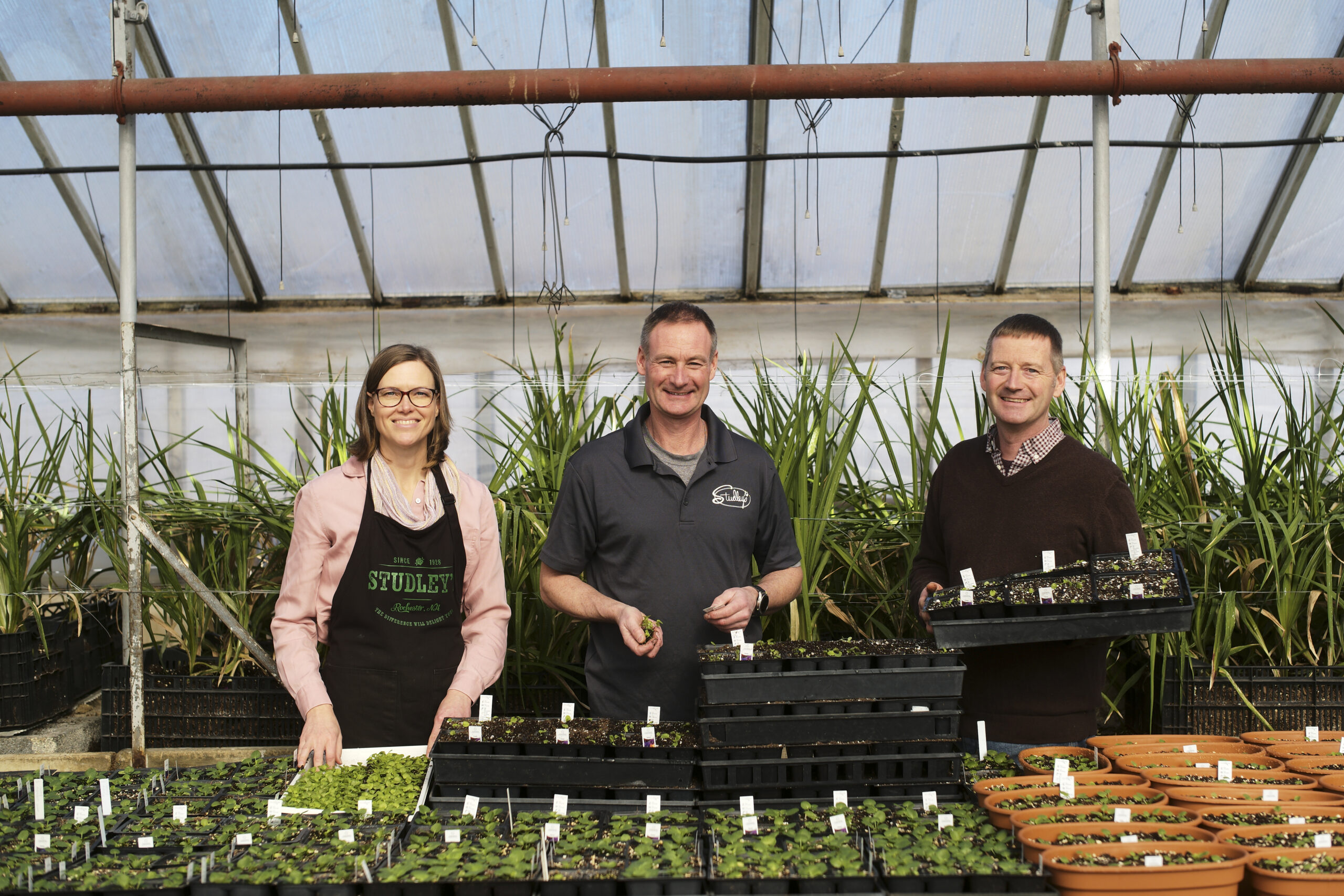 studley's pros seed starting in the greenhouse